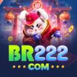 br222 Mega APK v3.7.5
