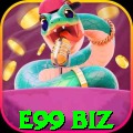 e99 biz Brasil Pro v3.7.0
